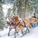 Hotel Sportalmmm, Hoch-genuss (adults Only) Zauchensee