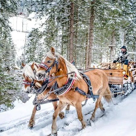 Otel Sportalmmm, Hoch-genuss (adults Only) Zauchensee